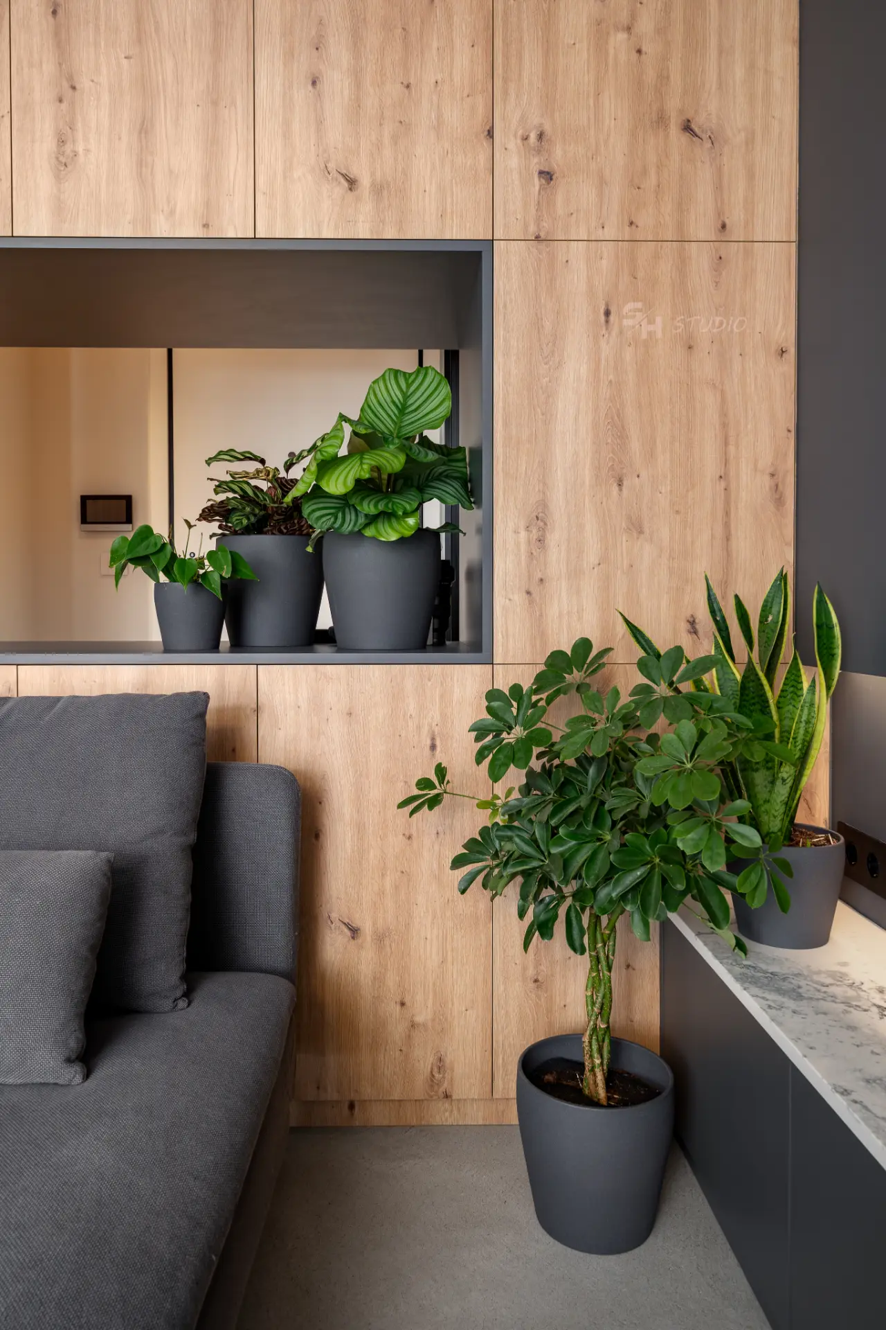 PHOBIA — planted niche within the full-height timber living-room cabinetry