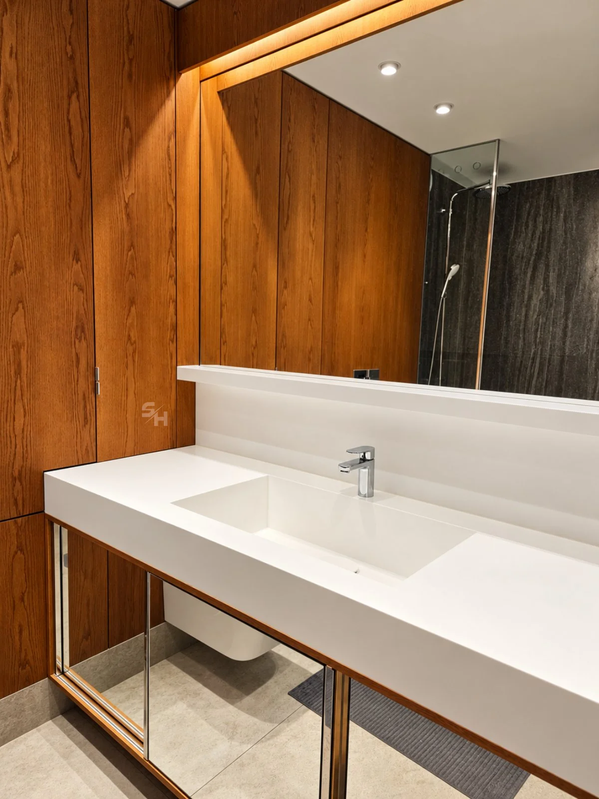 DTDSG — integrated basin and illuminated mirror